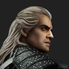 The Witcher The Witcher